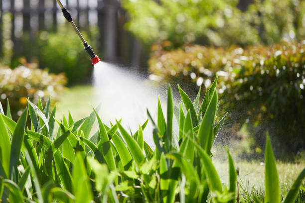 24/7 Emergency Wasp Removal experts in Langley, SC