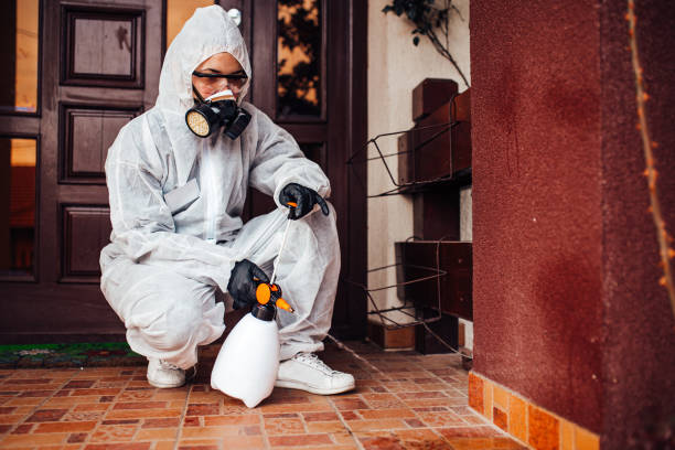 Reliable Wasp Removal contractor in Langley, SC by Show Me Pest Control